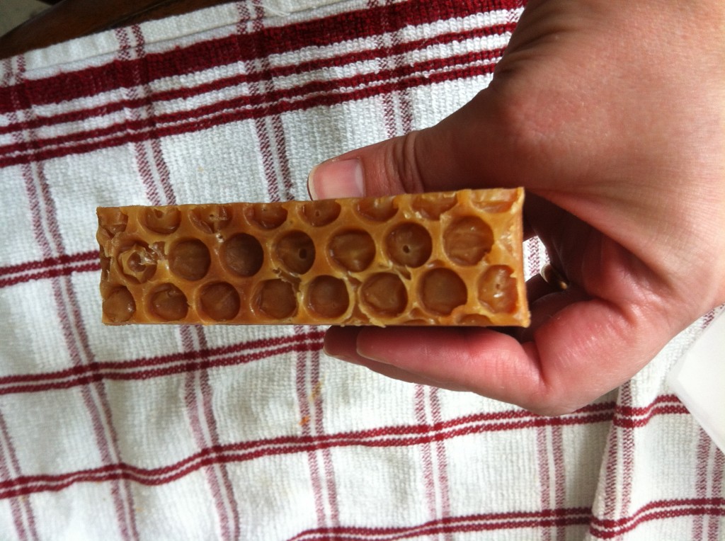 Honeycomb Honeycomb