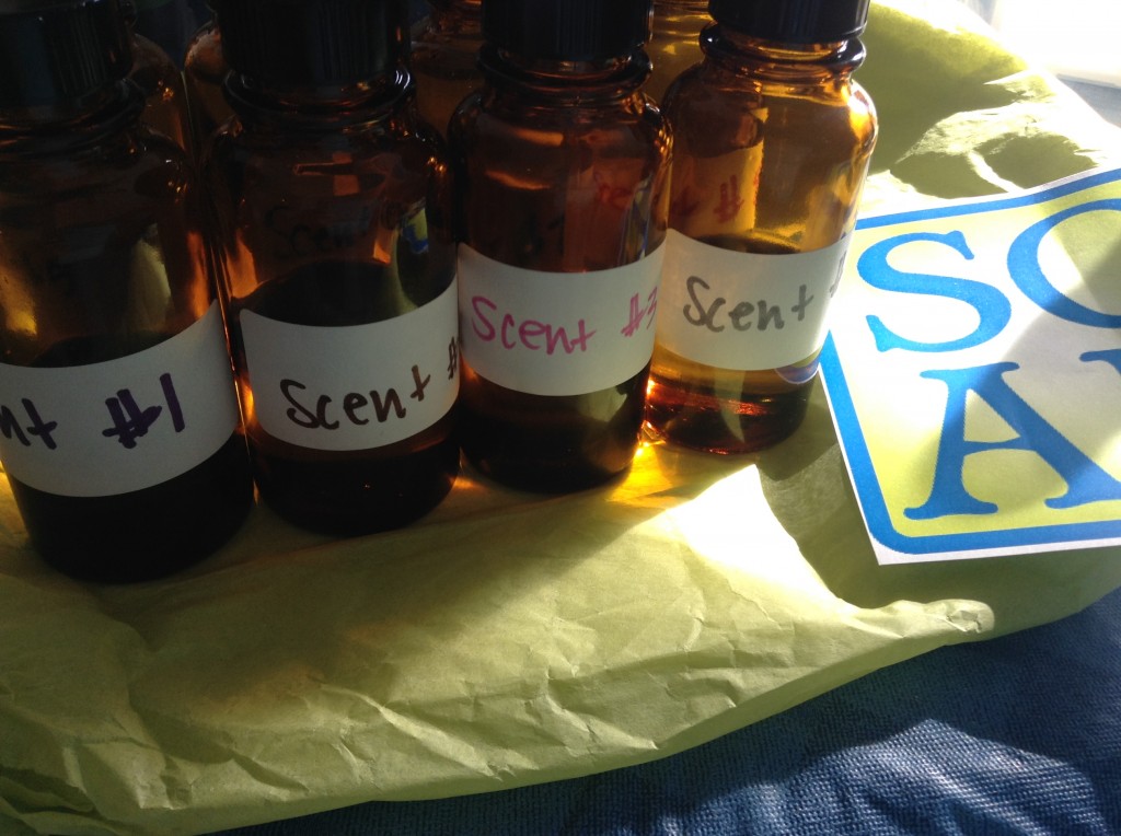S.O.A.P. Panel Test Fragrances