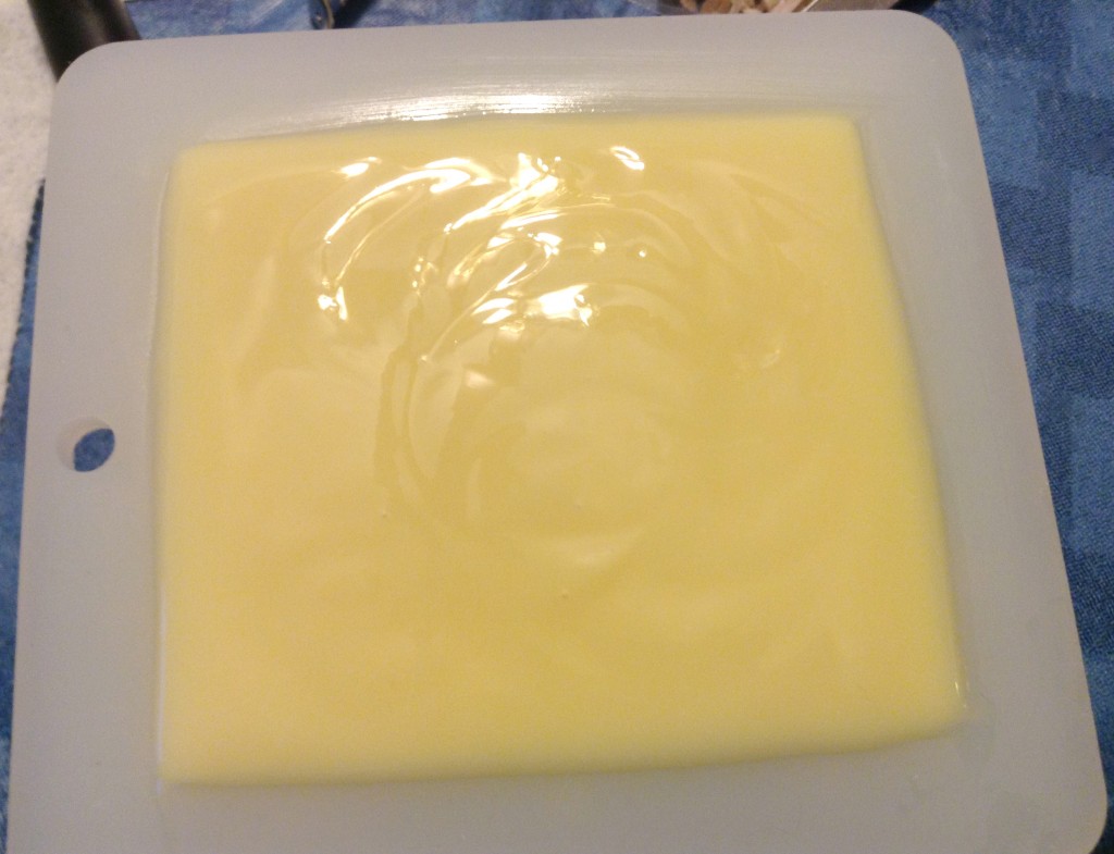 Soap in Mold