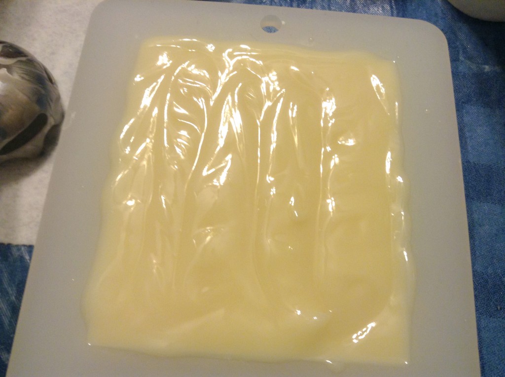 Soap in Mold