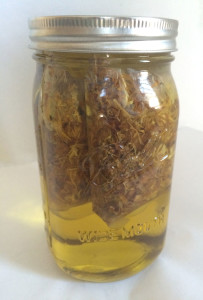 Calendula-Infused Olive Oil