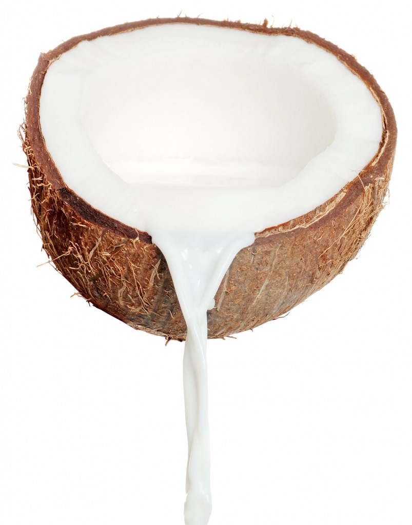 coconut milk New England Handmade Artisan Soaps